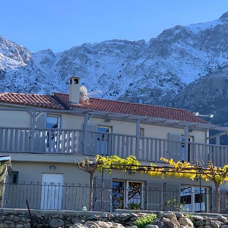Casa Basgiu, Chambres Avec Balcon Et Table D'Hotes Zilia Luaran gambar